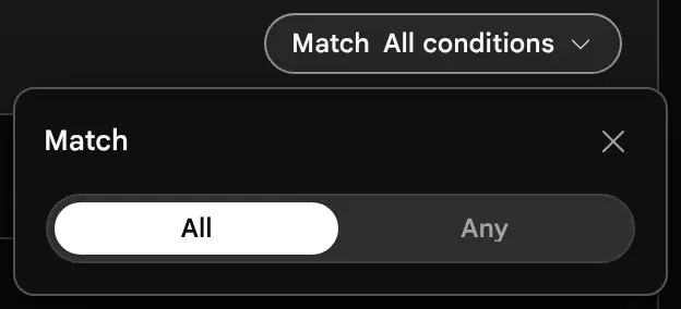 The Match capsule opened with All and Any choices and a note explaining that scope always applies.